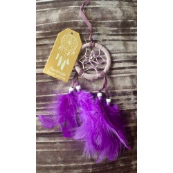 Dream Catcher Purple